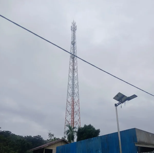 Masyarakat Lingga Resah: Seminggu Tanpa Sinyal Internet