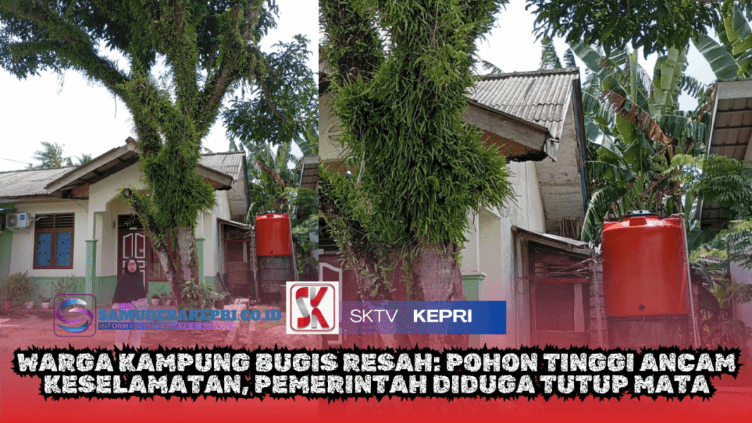 Warga Kampung Bugis Resah Pohon Tinggi Ancam Keselamatan, Pemerintah Diduga Tutup Mata