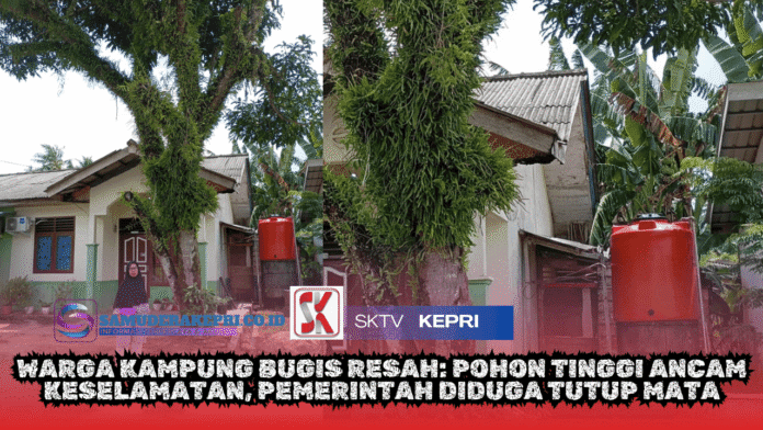 Warga Kampung Bugis Resah Pohon Tinggi Ancam Keselamatan, Pemerintah Diduga Tutup Mata