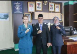 Bupati Anambas Lantik 1.782 Pegawai Pemerintah dengan Perjanjian Kerja (P3K)