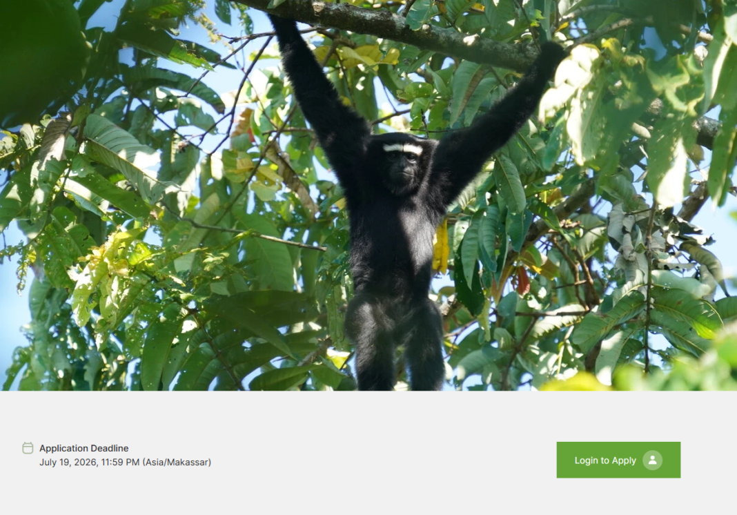 Story-Grants-to-Report-on-Asia’s-Endangered-Apes-Earth-Journalism-Network Dilansir dari Internews EJN, pendaftaran beasiswa liputan konservasi kera dan orangutan Asia senilai US$1.500 bagi jurnalis Indonesia dibuka hingga 19 Juli.