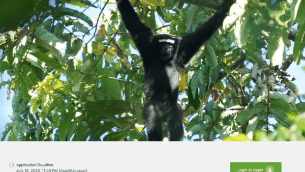 Dilansir dari Internews EJN, pendaftaran beasiswa liputan konservasi kera dan orangutan Asia senilai US$1.500 bagi jurnalis Indonesia dibuka hingga 19 Juli.