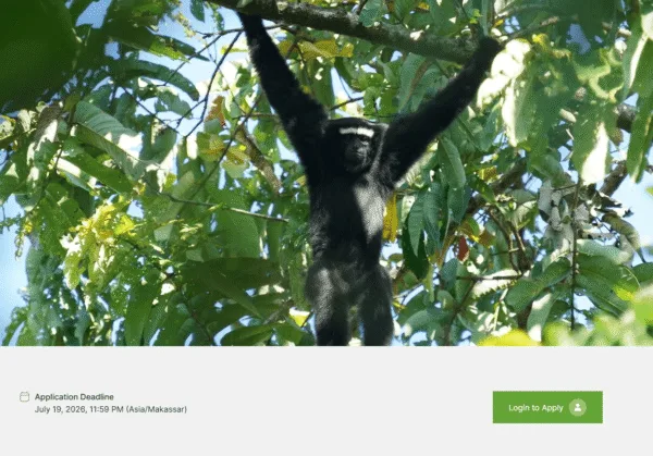 Dilansir dari Internews EJN, pendaftaran beasiswa liputan konservasi kera dan orangutan Asia senilai US$1.500 bagi jurnalis Indonesia dibuka hingga 19 Juli.