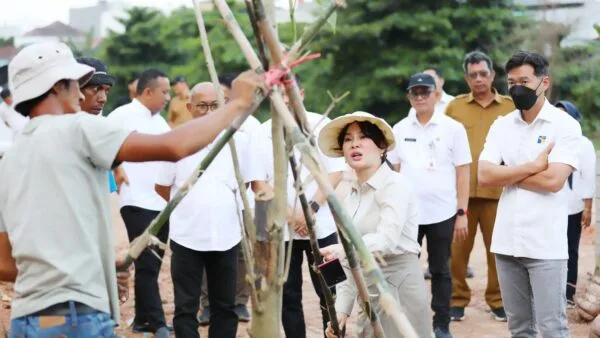 Wakil Wali Kota Batam Li Claudia Chandra menanam pohon di kawasan DAS Baloi Indah.