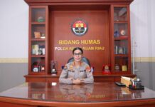 Mengancam Jiwa Pengendara, Polda Kepri Tegaskan Larangan Keras Aksi Balap Liar Kabid Humas Polda Kepri Kombes Pol. Dr. Nona Pricillia Ohei, S.I.K., S.H., M.H.,