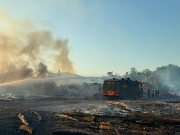 Personel Brimob Polda Gorontalo dan tim gabungan padamkan kebakaran area kayu HTI di Gorontalo Utara