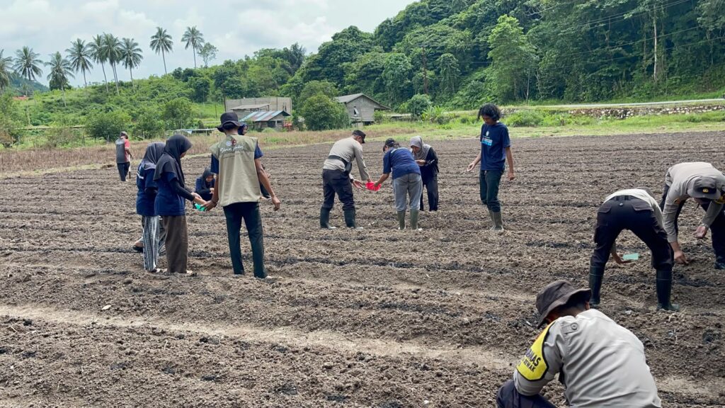 Personel Polsek Jemaja bersama mahasiswa KKN UGM dan Kelompok Tani Tunas Karya saat menanam benih jagung di Desa Bukit Padi.