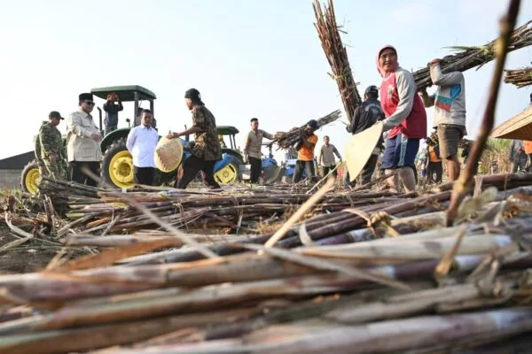 Produktivitas Meningkat, Petani Apresiasi Sistem Penyaluran Pupuk Tepat Sasaran