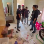 Polisi Buru Otak Jaringan dan Terapkan TPPU Usai Bongkar Gudang Narkoba di Pekanbaru