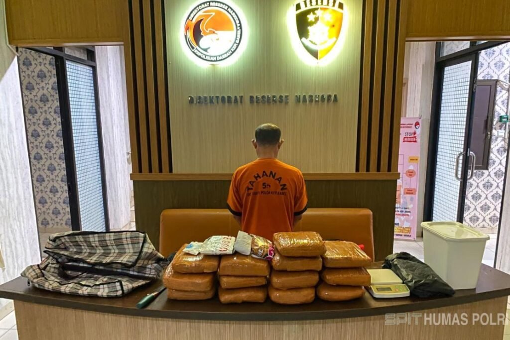 Jaringan Narkotika Digulung, Polda Kepulauan Bangka Belitung Amankan 12,8 Kg Ganja