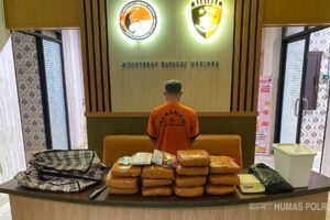 Jajaran Ditresnarkoba Polda Babel mengamankan barang bukti ganja 12,8 kg di Pangkalpinang