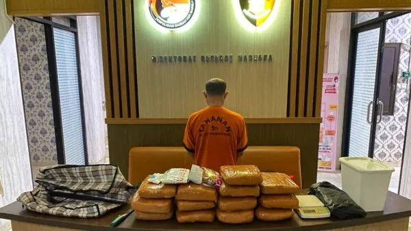 Jajaran Ditresnarkoba Polda Babel mengamankan barang bukti ganja 12,8 kg di Pangkalpinang