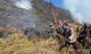 Tim gabungan Polres Probolinggo dan Bromo Tengger Semeru melakukan pemadaman kebakaran hutan di Gunung Bromo
