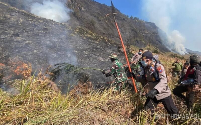 Tim gabungan Polres Probolinggo dan Bromo Tengger Semeru melakukan pemadaman kebakaran hutan di Gunung Bromo
