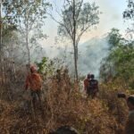 Tim gabungan Polres Trenggalek mengevakuasi pelajar yang terjebak kebakaran di Gunung Orak-arik.