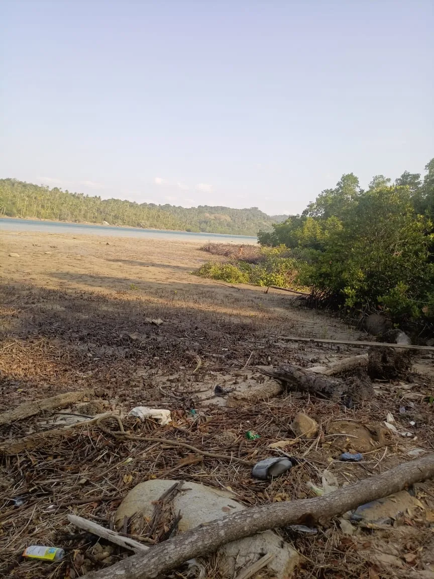 Pembabatan Bakau Berulang di Pelabuhan Roro Piabung, Kades Tegaskan Tak Pernah Terbitkan Izin